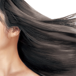 ホルス　毛根幹細胞エクソソーム(BG)(G)